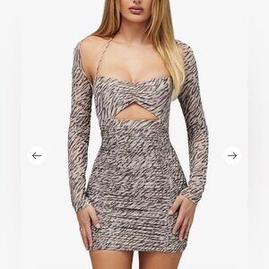 Zebra Print Ruched Mini Dress